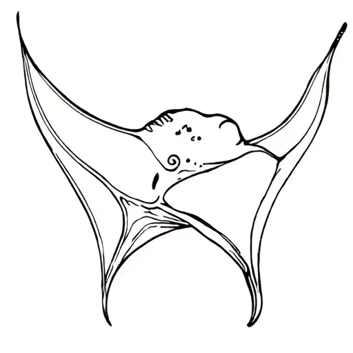 Manta Ray Swimming
