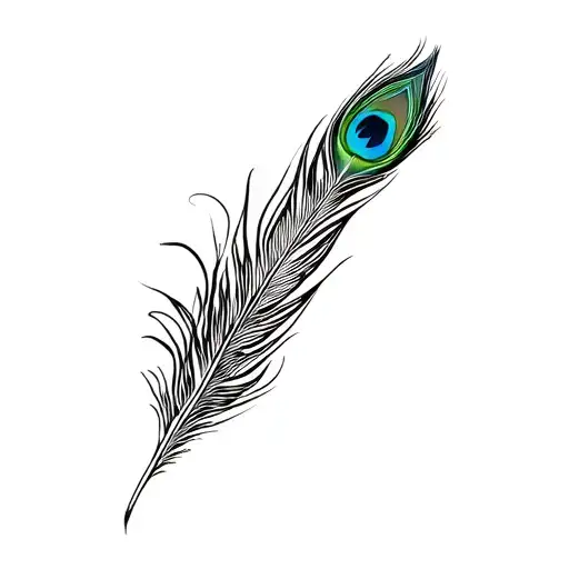 Eagle And Peacock Feather