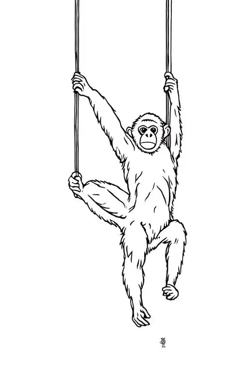 Gibbon Monkey Swinging