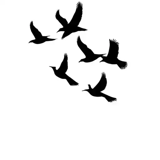 Silhouette Three Birds Flying
