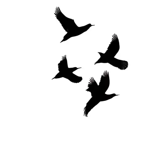 Silhouette Three Birds Flying