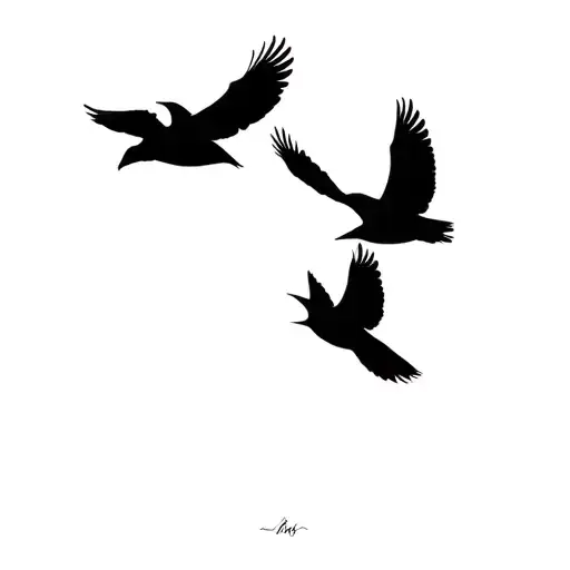 Silhouette Three Birds Flying