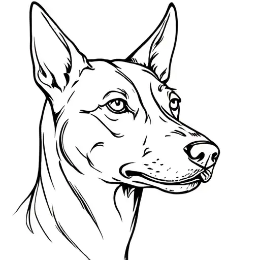 Kelpie Head Looking