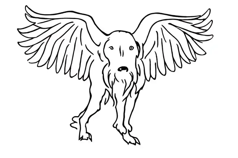 Wirehaired Pointing Griffon