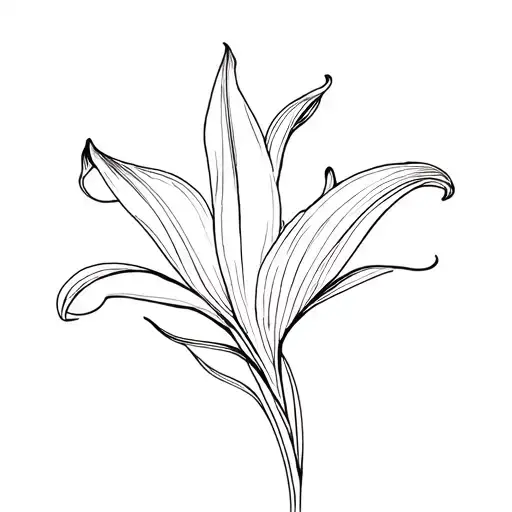 Lily With Curved Lines With
