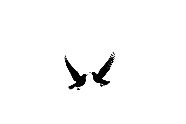 Shadow Of Two Mocking Birds Flying Next To Each Other