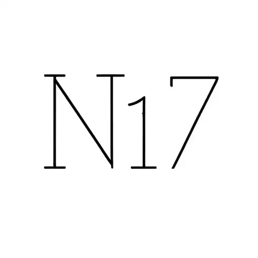N17 Text