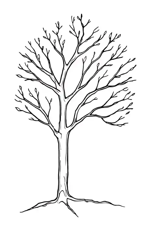 Tree Outline