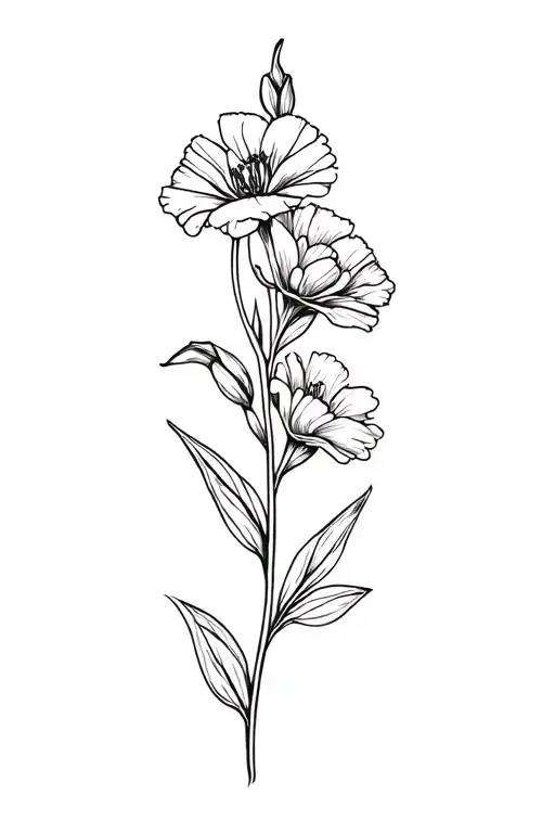 Carnations And Gladiolus Flower With Stems