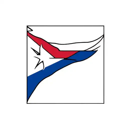 Puerto Rico Flag
