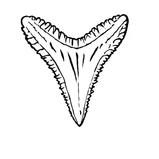 Shark Tooth