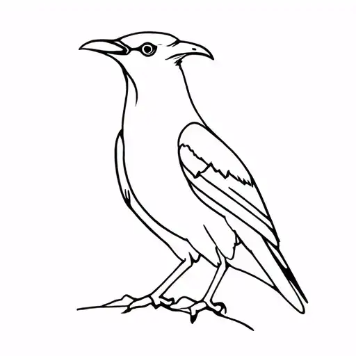 Collingwood Magpies