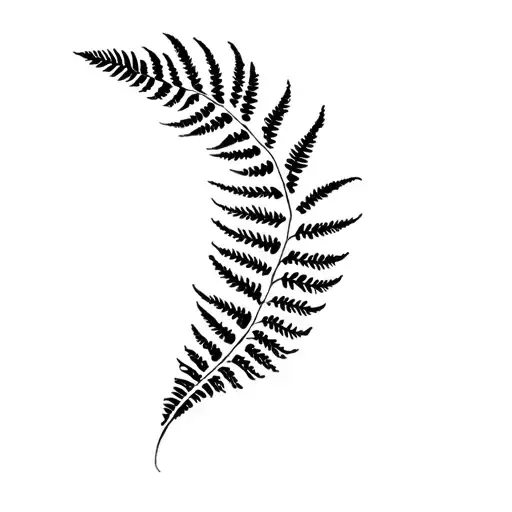 Silver Fern