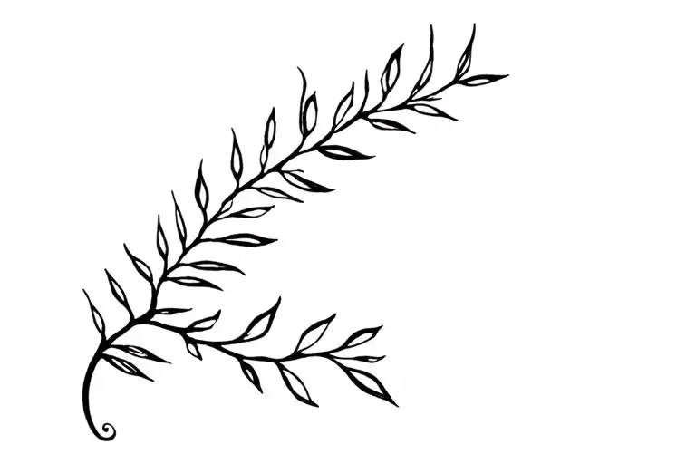 Thin Plant Vine With Roman Numeral