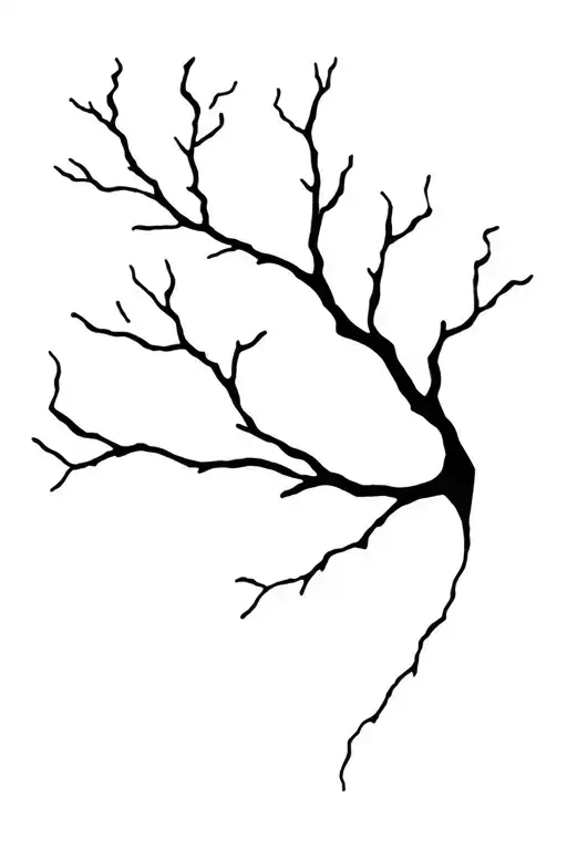 Tree Branch