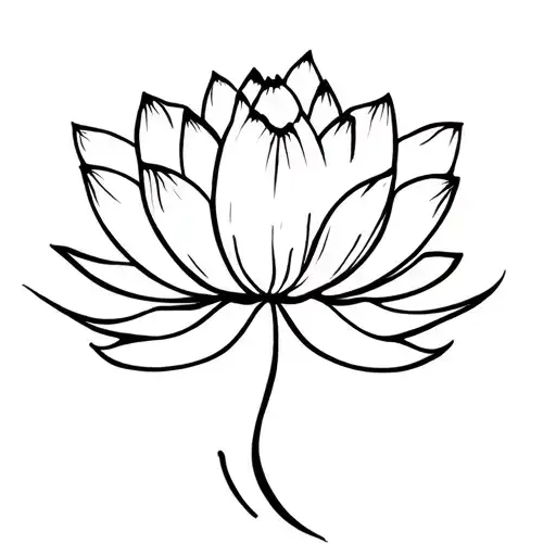 Lotus Flower