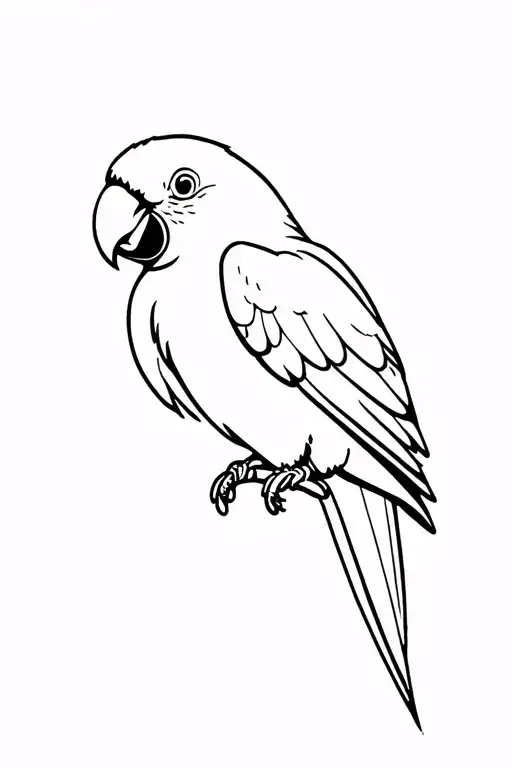 Cute Parrot