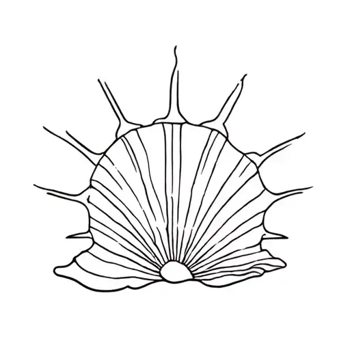 Beach Shell And Sunshine