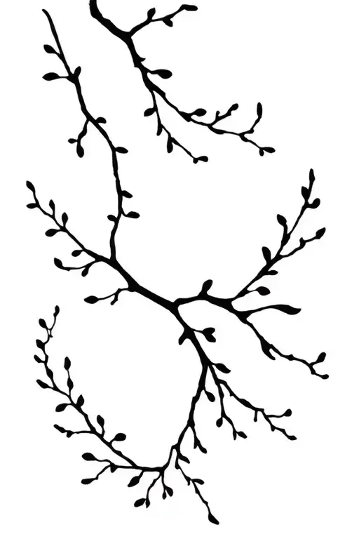 Branches