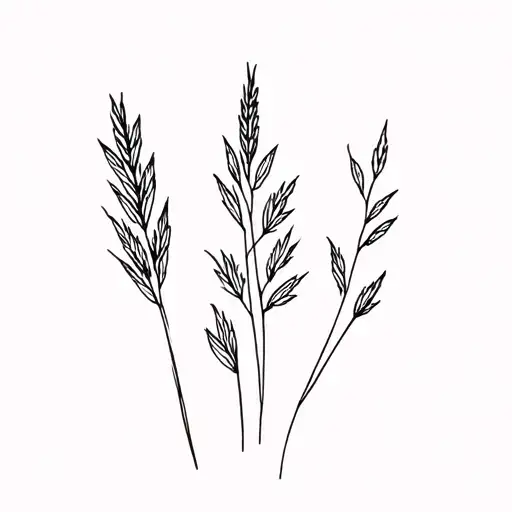 Prairie Grasses
