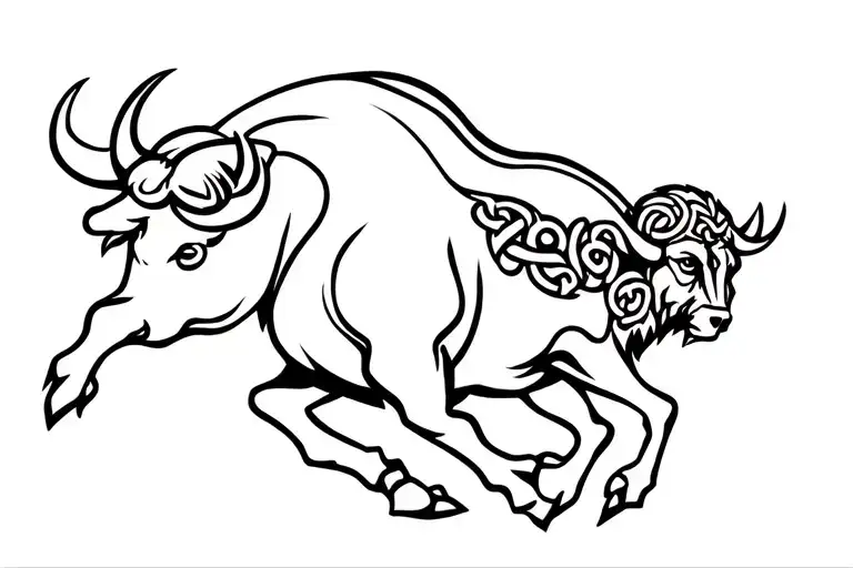 Celtic Buffalo Running