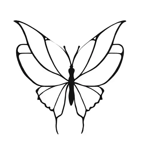 B Shape Butterfly