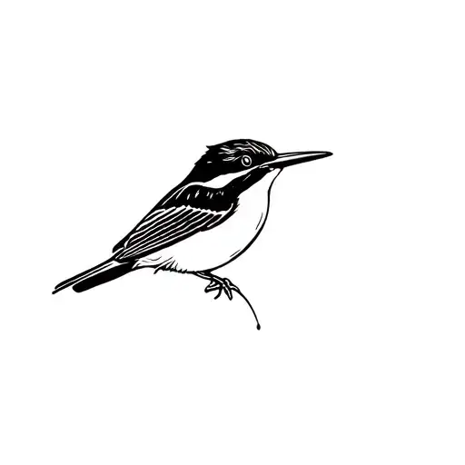 White-collared Kingfisher Perched