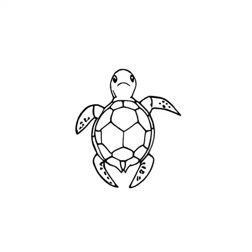 Small Turtle