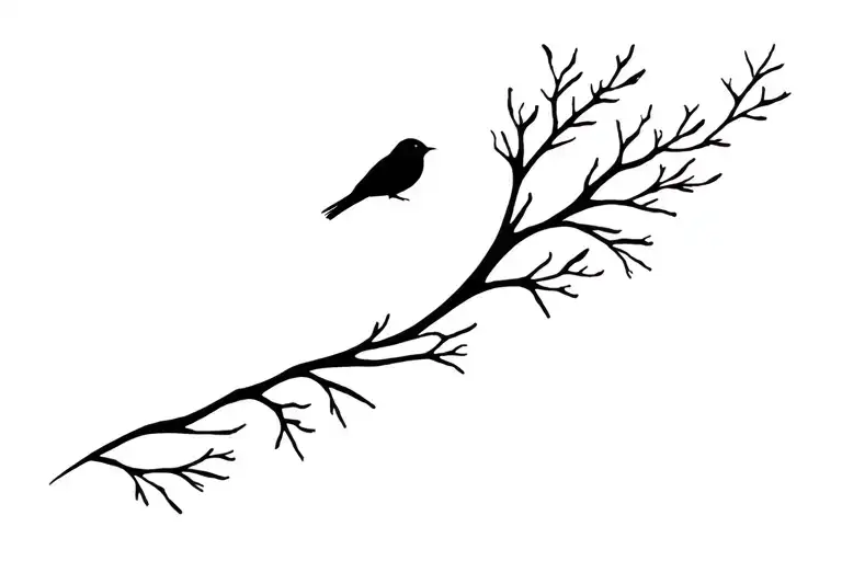 Hear The Winter Bird Sing