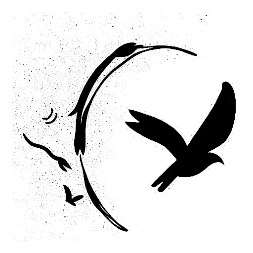 Someone Chasing A Shadow Of A Bird