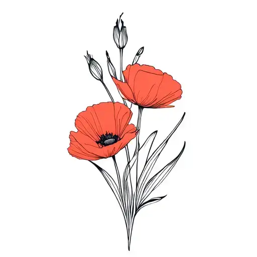 Poppy And Gladiolus Flowers