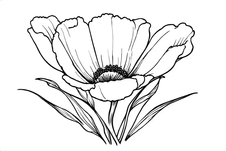 Poppy Flower Pelvic