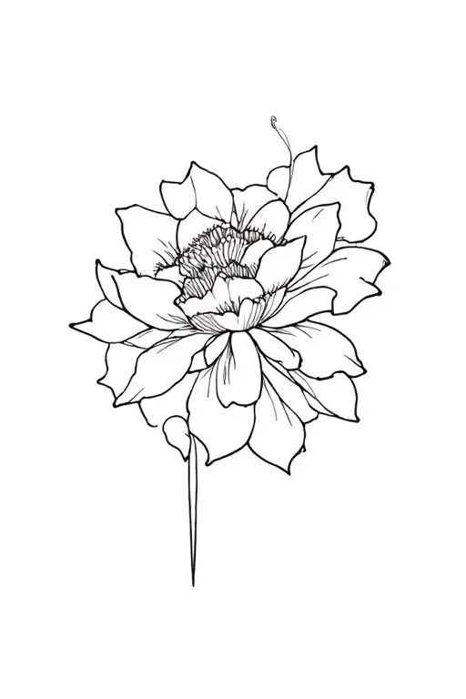 Japanese Style Is Easily Drawn