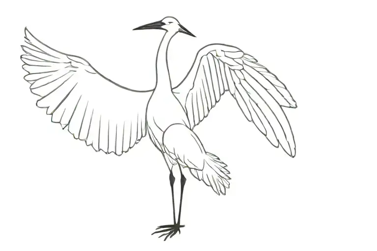 Crane Standing Wings Spread