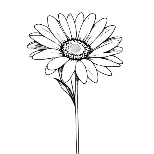 Daisy Flower Daughter