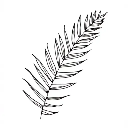 Palmier Guadeloupe Island