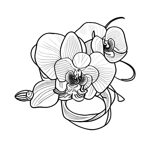 Aries Sign And Orchid Flower