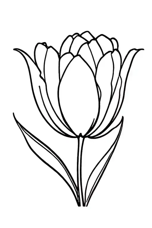 Tulip