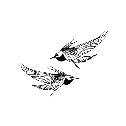 2 Bird Fly And Backgruond