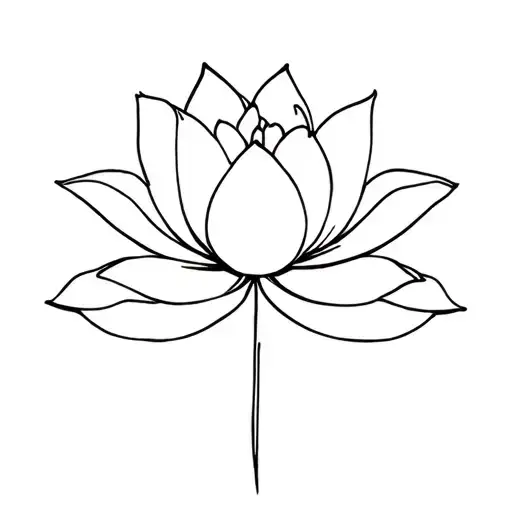 Flower Lotus Flower