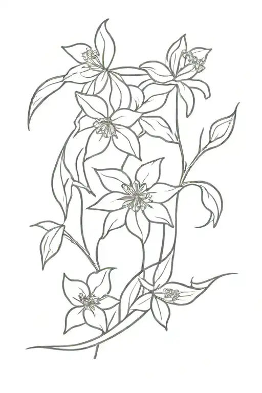 Daffodil Lily Poppy Holly Daisy Flowers Intertwined