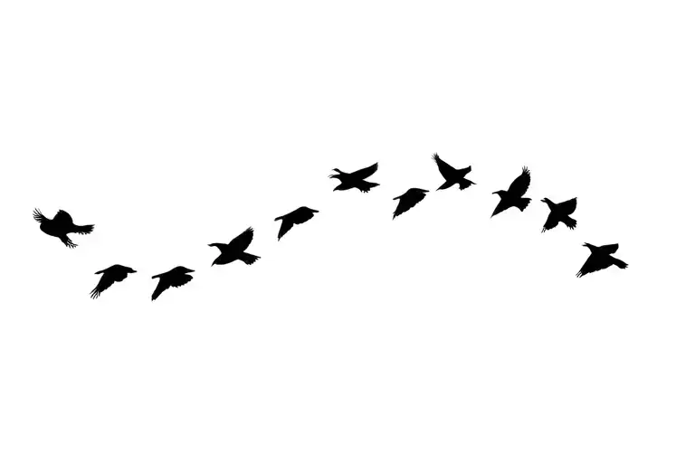 Several Small Crows Flying