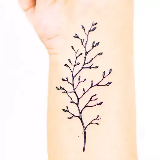 Tree Branch