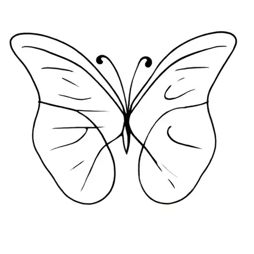 Butterfly With V And M In The Shape