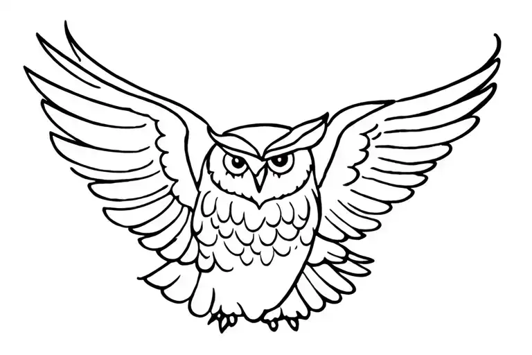 Different Phase Wing Owl Flying
