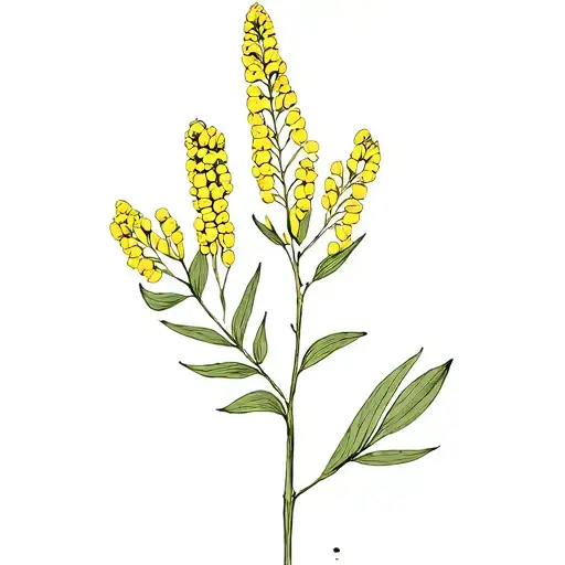 Nz Kowhai Plant Tattoo Fine Line Drawing