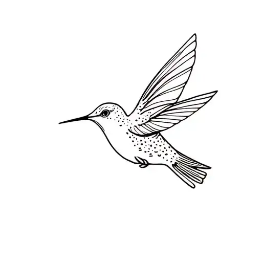 Humming Bird