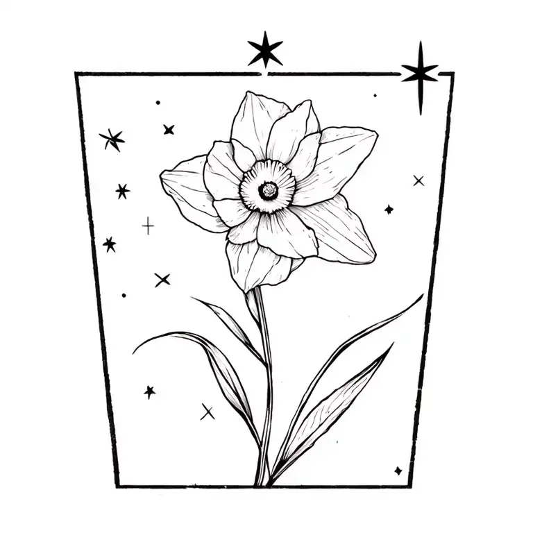 Paper White Narcissus And Southern Cross Star Constellation