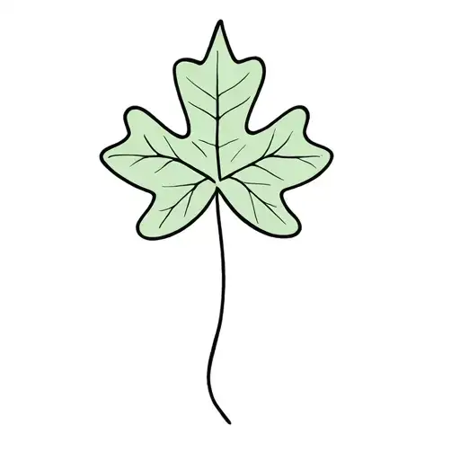 Shamrock Maple Leaf