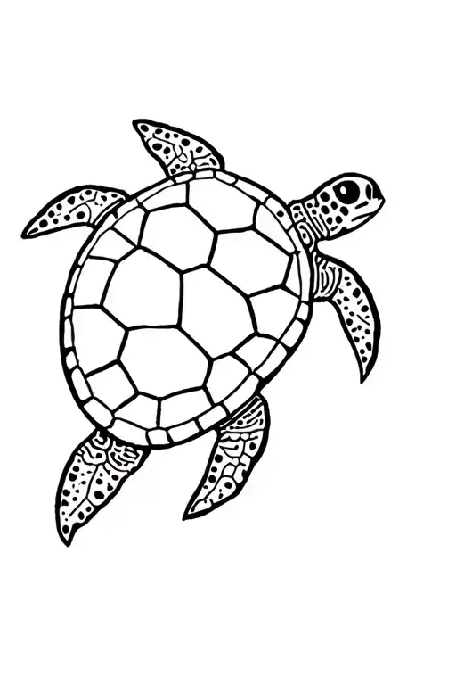 Sea Turtle